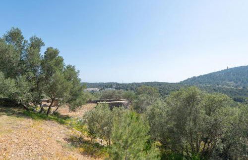 Son Muntaner - Photo 48