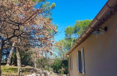 La maison du Barroux avec vue, calme et piscine - Foto 31