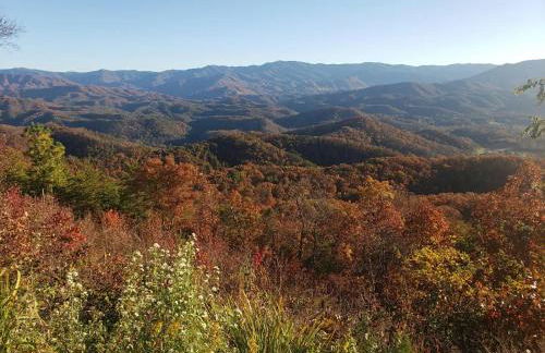 Sunset Cove Lakefront Luxury Lodge with Private Dock - Foto 39