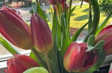 Ferienwohnung WerraLiebe - Foto 14