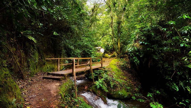 Trekking sul Sentiero di Indiana Jones
