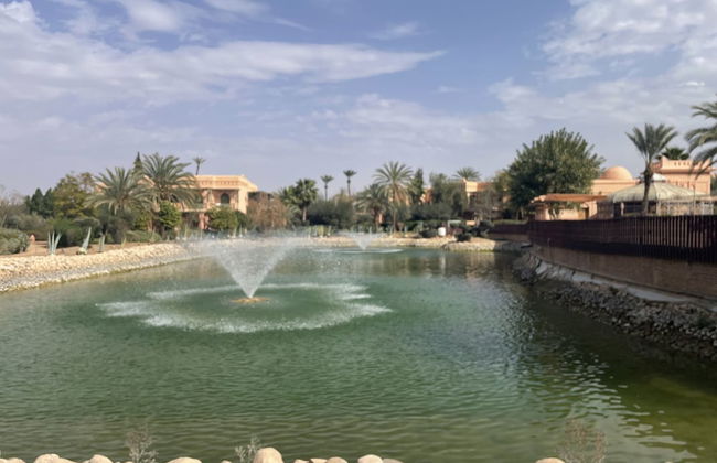 Au Coeur De La Palmeraie De Marrakech - Photo 68