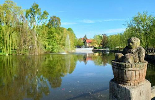 Ferienwohnungen Seewald - Foto 6