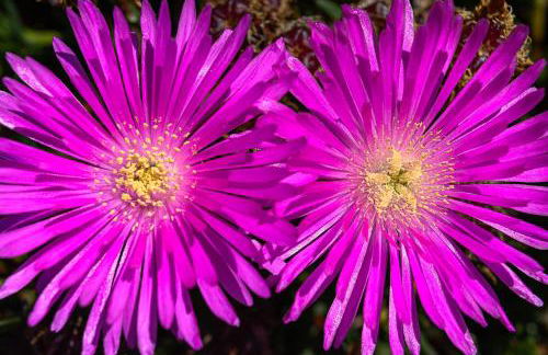 Recanto das Florenças (2) - Photo 67