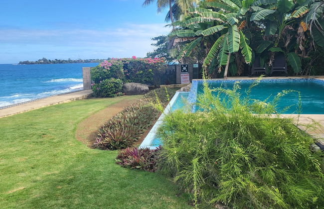 Birdie's Nest - Foto 29