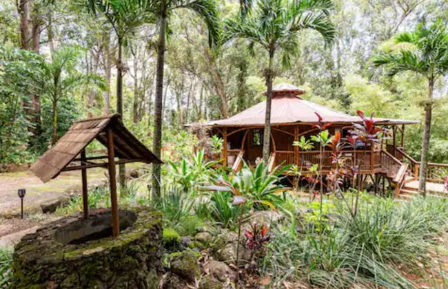 Hawaiian Dream Temple - Foto 20