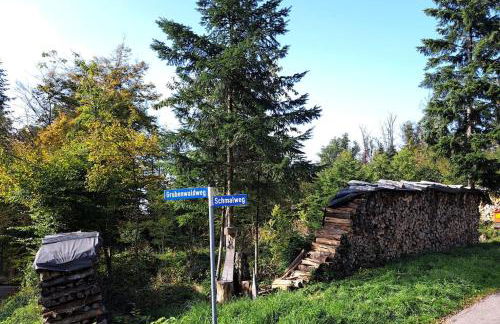 Gemütliche Waldrandlage in Badenweiler Sehringen Ferienwohnung - Foto 26