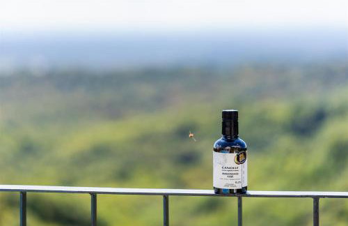 Villa Canolle - Photo 43