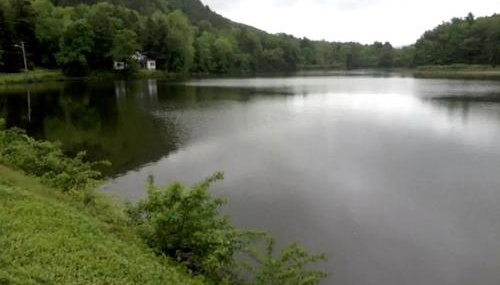 Riverfront Cabin with Beautiful Views of Housatonic River in Great Barrington, Massachusetts - Foto 2