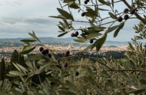 Fattoria di Maiano - Foto 32