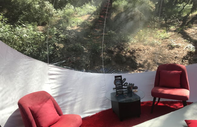 Domaine de la Tuilière - Foto 6