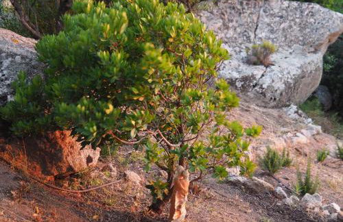 Stazzu Giasti Agriturismo - Photo 68