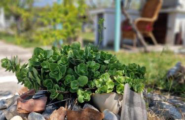 Dream in Chalkidiki 2 bedroom villa with garden - Foto 57