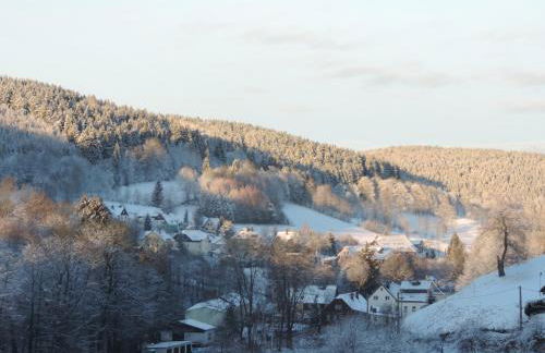 Sonnenblick Rittersgrün I - Foto 10