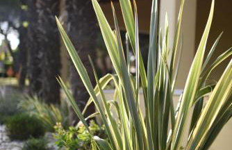 Apartment Ivana - Foto 24