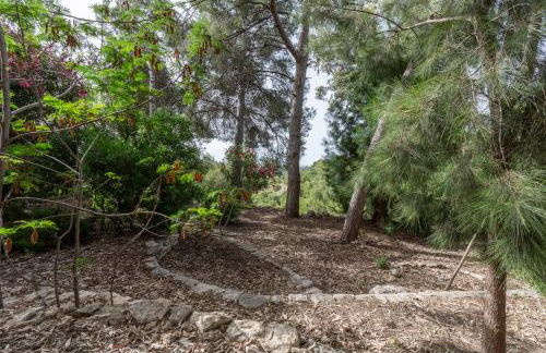 Las Pedrizas - Foto 25