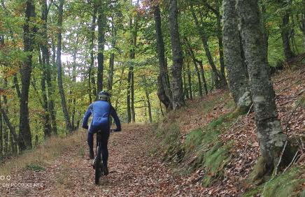 Montes de Lillo --Vut LE 625 - Foto 20