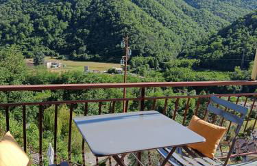 Ilgattonero - Foto 30