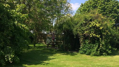 Barn Owl - Photo 3, Garden