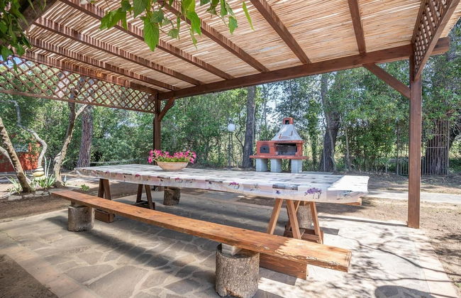 Buen Camino SSA - Foto 29