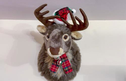 The Snug - A Quaint Mews Cottage City Centre - Foto 36