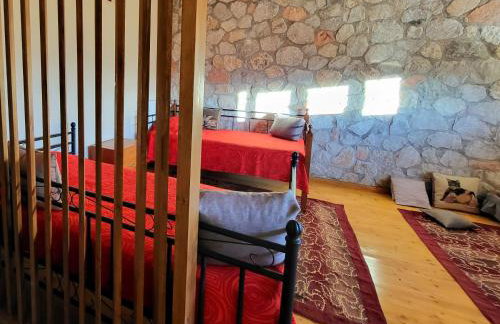 Τα πέτρινα στο Σκεπαστό - Photo 23