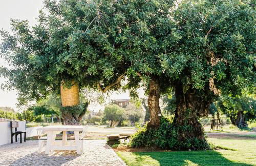 Conversas de Alpendre - Foto 30