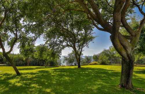 Jardines de las Golondrinas - Photo 22