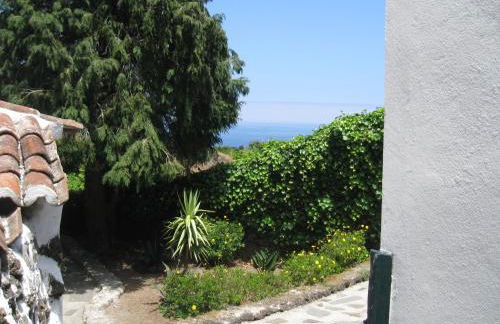 Quinta do Rossio, Rural Tourism - Photo 32