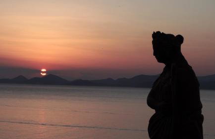 Hydra Erato - Foto 36