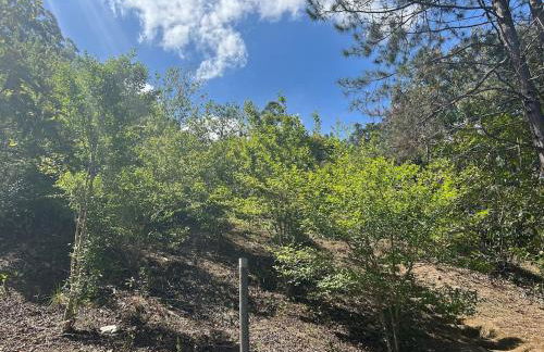 Sítio Cantinho do Sonhador - Foto 28