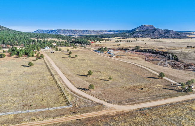 Tree Deer Blind - Foto 39