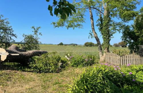 Holiday Home Tribbevitz by Interhome - Photo 20