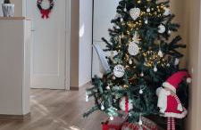 Alemanni54 - Apartment - Photo 43