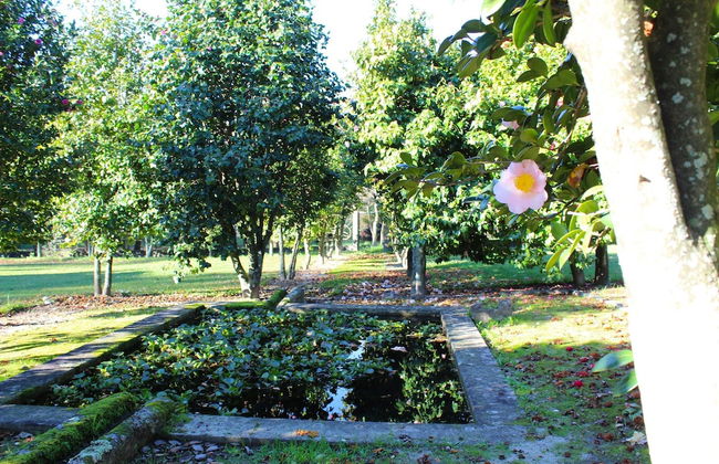 Cottage in Santa Comba With Pool - Foto 25