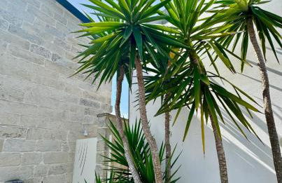 Villa Vittoria Suites - Foto 16