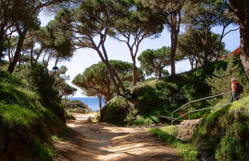 Apartament Belharucas, 400 meters from beach - Foto 63