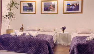 Lawendowa Przystań Sandomierska - Foto 2