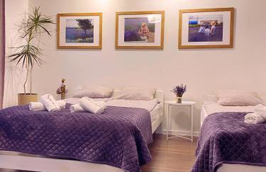 Lawendowa Przystań Sandomierska - Foto 2