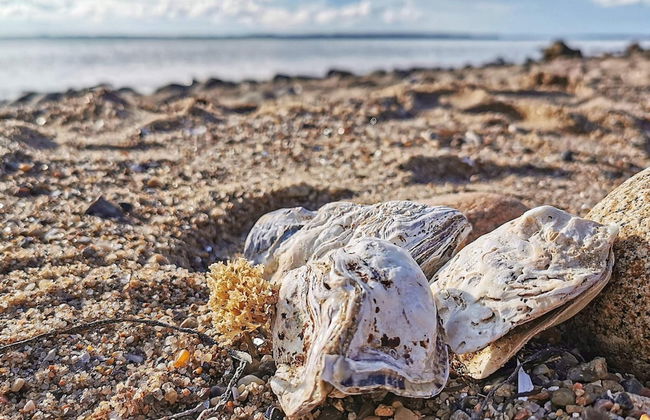 6 Person Holiday Home in Spottrup - Photo 11