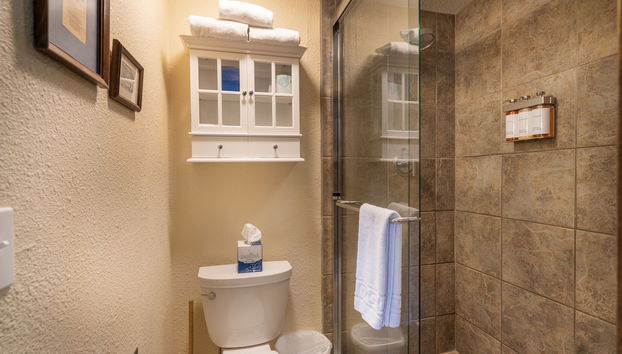 Manitou Lodge 11 Hotel Room by Alpine Lodging Telluride - Foto 5, Bagno