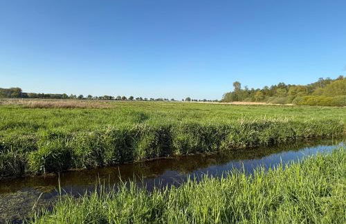 DümmerLodge - Photo 16