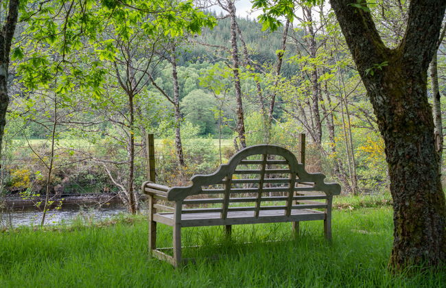 Birchwood Cottage - Foto 35