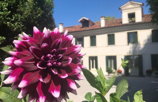 Ca' Settecento Residenza d'Epoca - Foto 51