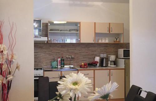 Apartments Stakic - Foto 33