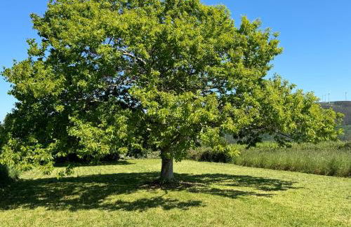 Casa Rural Vieitas de Arriba - Foto 20