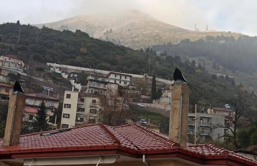 Urban Mountain House - Foto 52