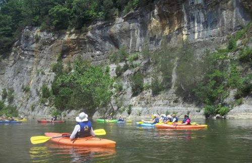 The Firefly Lodge at ShenandoahHot Tub~ View~Pets - Foto 20