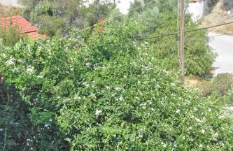 MNS Marvelous Nirvana Seascape, Creativity - Foto 29