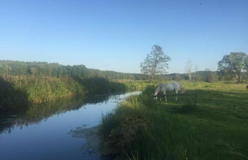 Domek Leśne Zacisze - Foto 21